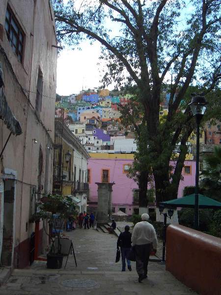 ../Images/Dsci0971.jpg