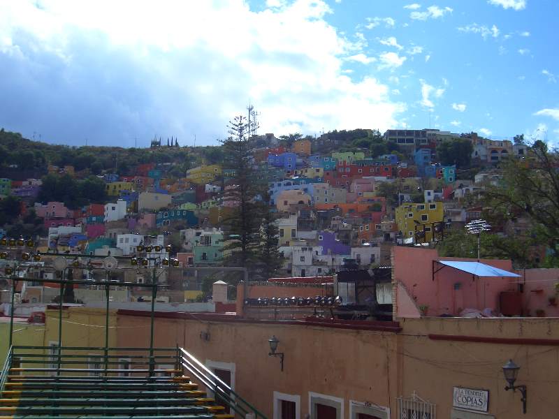 ../Images/Dsci0973.jpg